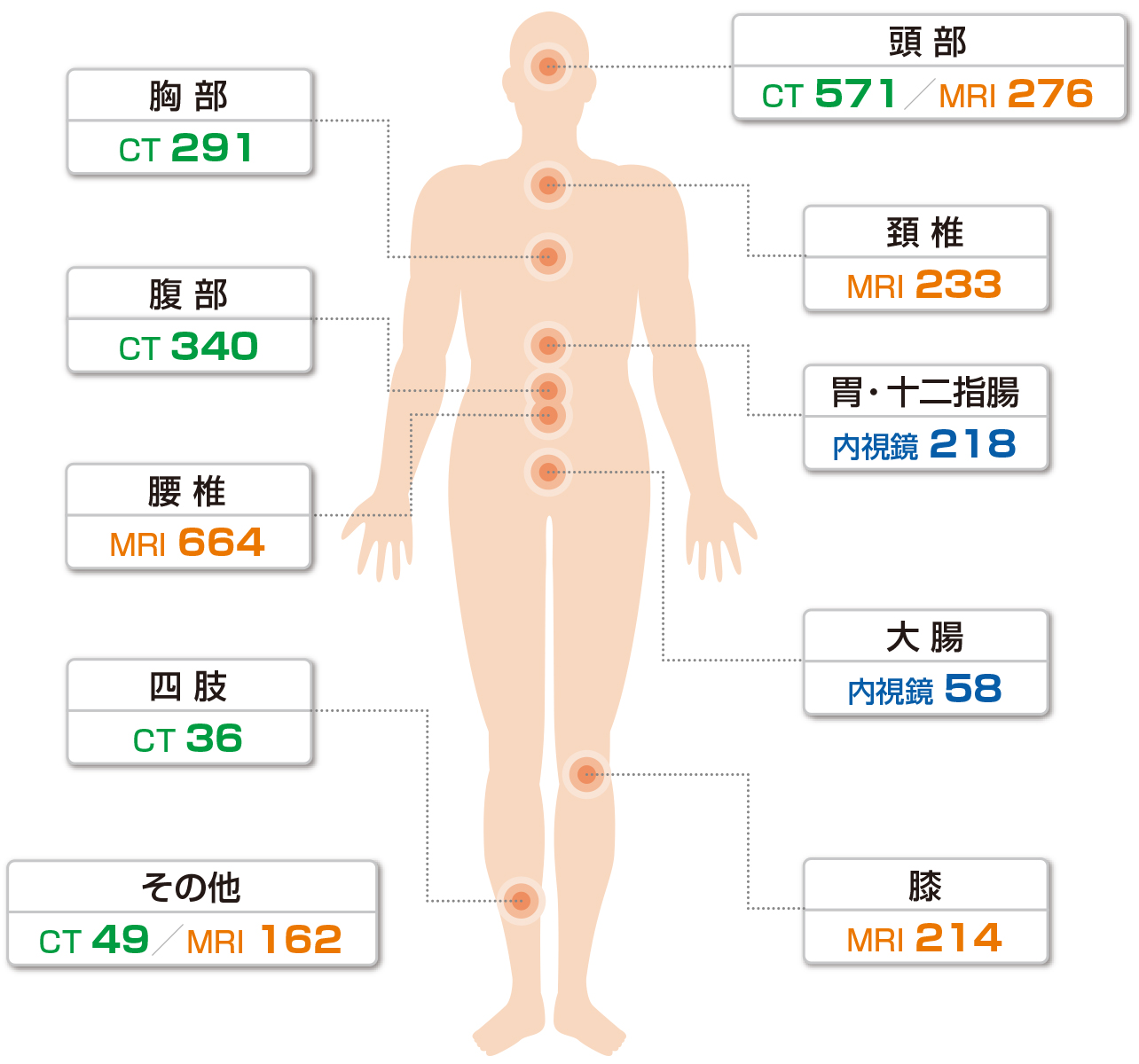 主な検査件数（2024年1月〜12月）
